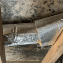 What are the common signs of mold in Tallahassee, FL?
