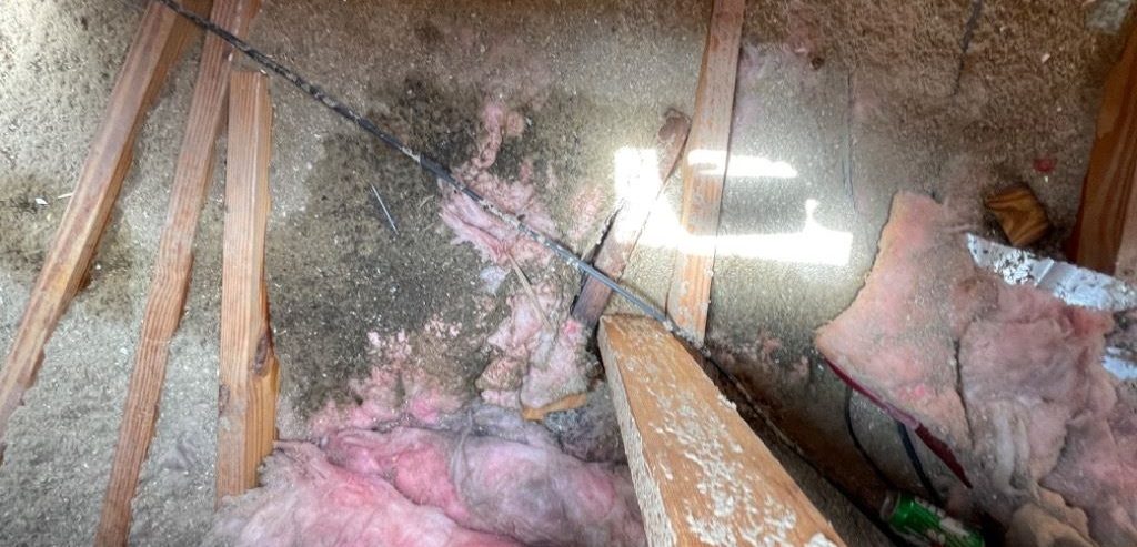 Common Signs of Water Damage in your Florida home