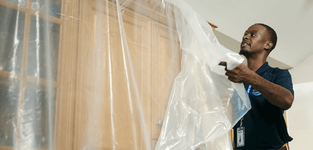 Trust Rytech for all of your professional mold remediation service needs