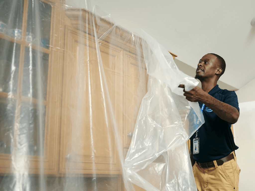 Trust Rytech for all of your professional mold service needs