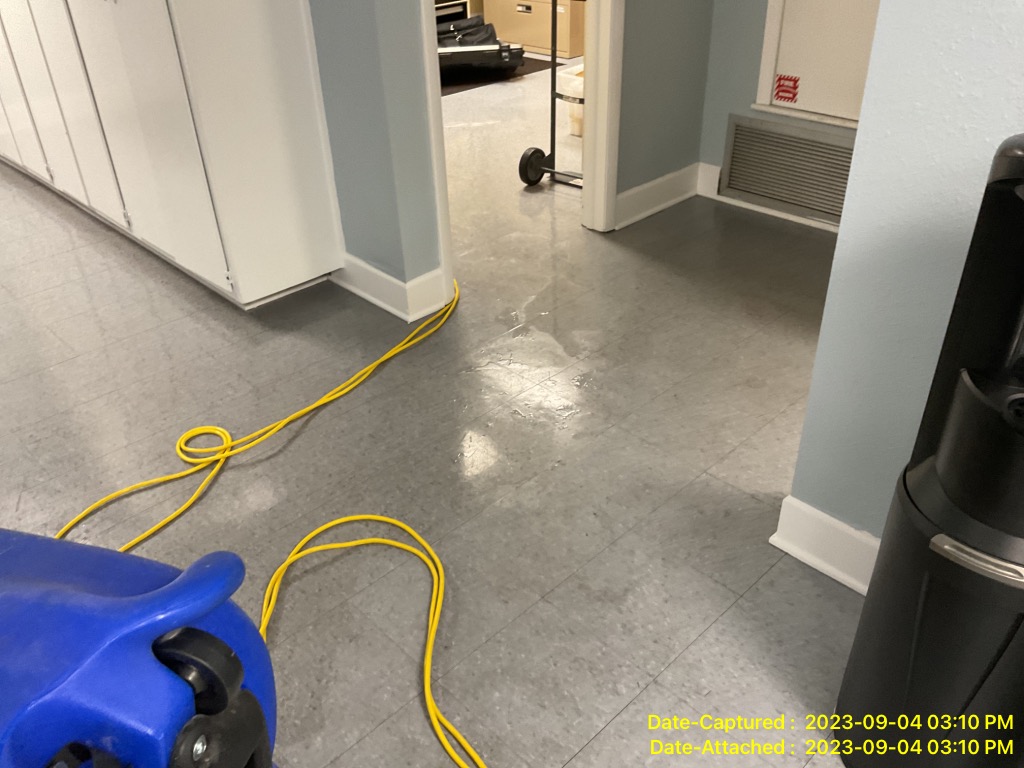 Common Causes of Water Damage in the Florida Panhandle