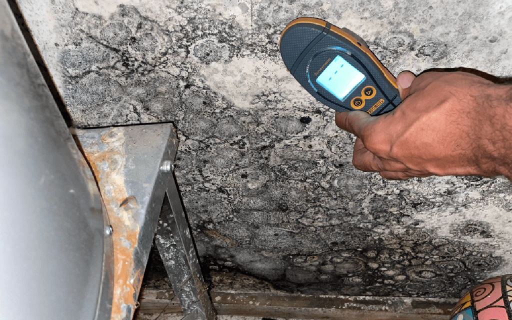 Black Mold Detected During Tallahassee Mold Inspection Service